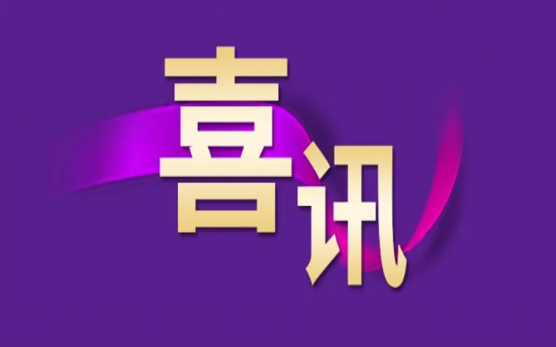 勁升16位！榮程集團(tuán)躍居中國企業(yè)500強(qiáng)第240位