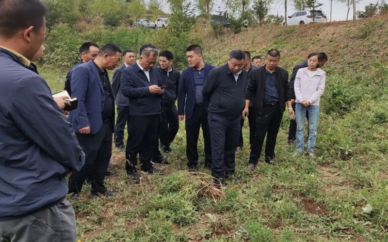 天水市政協(xié)副主席、清水縣委書記馬越垠到“榮程百草莊園”中藥材試驗(yàn)基地調(diào)研中草藥產(chǎn)業(yè)發(fā)展工作
