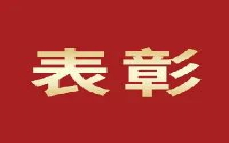 奮進2023，這些集體和個人無上“榮”光