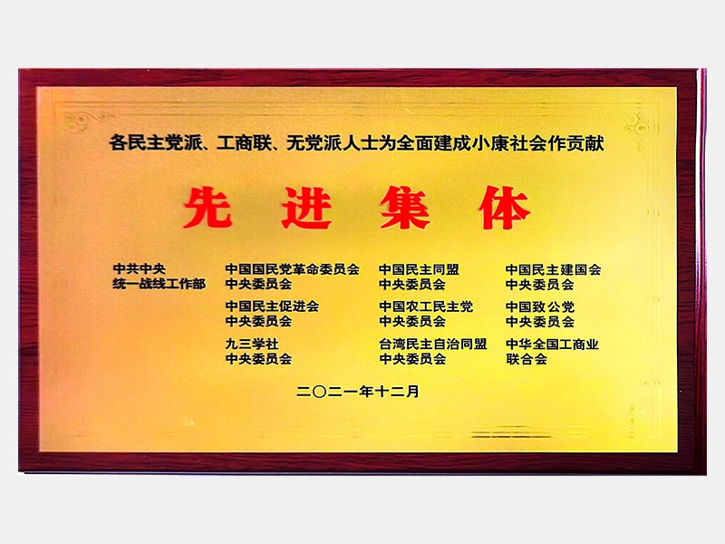 各民主黨派、工商聯(lián)、無黨派人士為全面建成小康社會作貢獻(xiàn)先進(jìn)集體