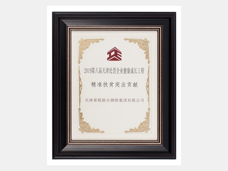 2019第八屆天津民營企業(yè)健康成長工程精準(zhǔn)扶貧突出貢獻